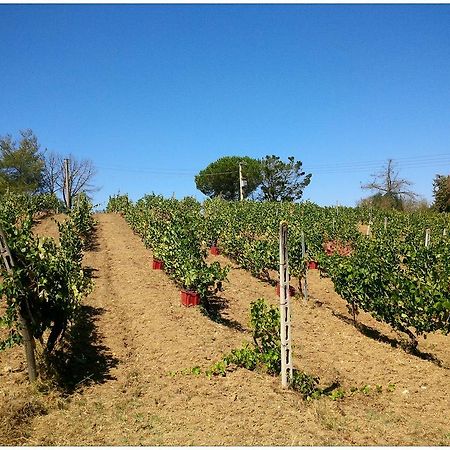 Agriturismo San Giusto Montiano  Dış mekan fotoğraf