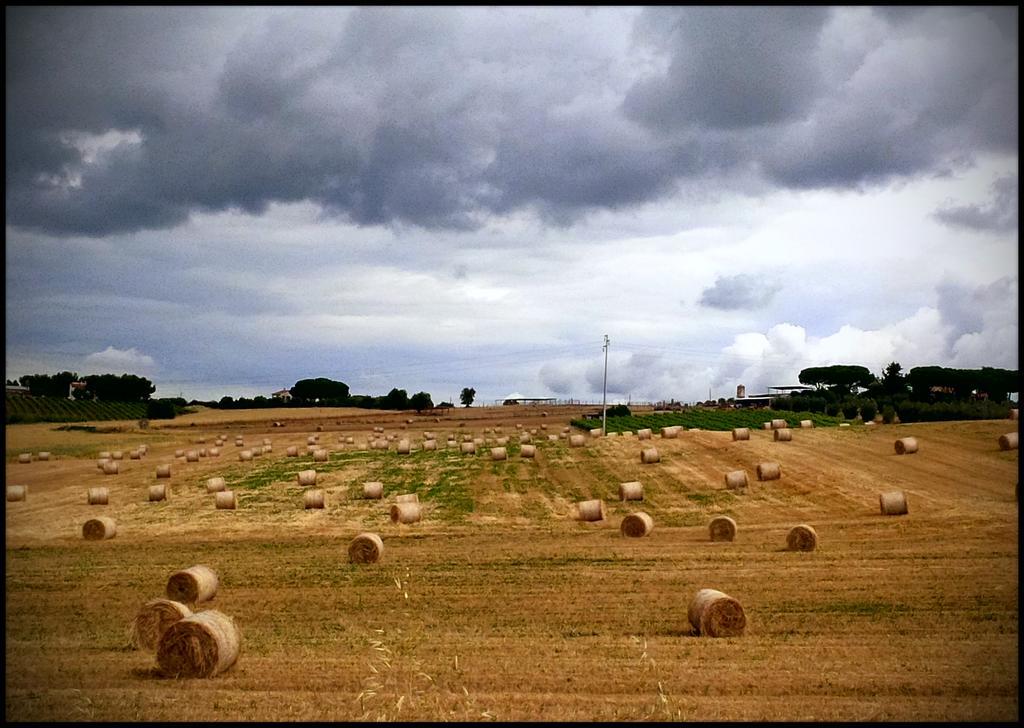 Agriturismo San Giusto Montiano  Dış mekan fotoğraf