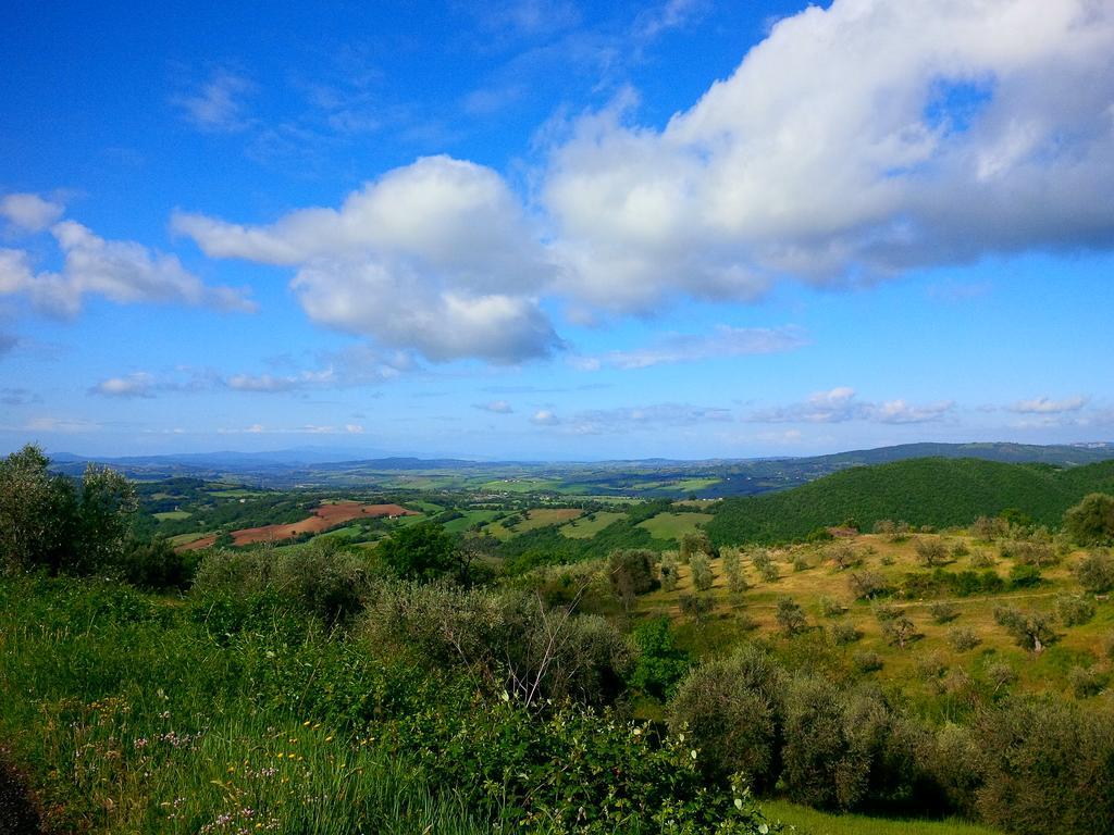 Agriturismo San Giusto Montiano  Dış mekan fotoğraf