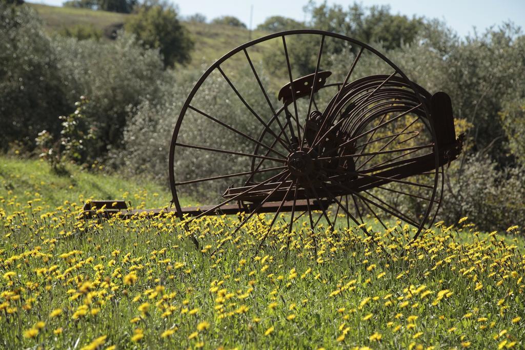 Agriturismo San Giusto Montiano  Dış mekan fotoğraf